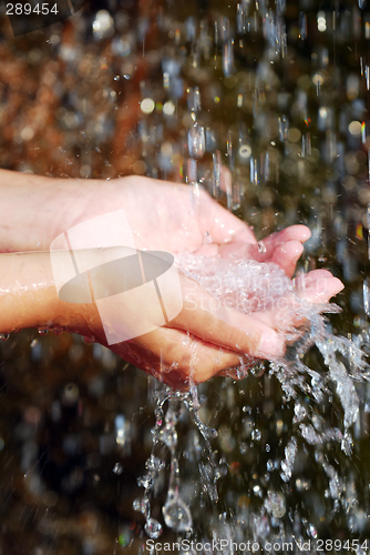 Image of Water in hands