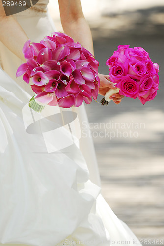 Image of Bride and bridesmaid