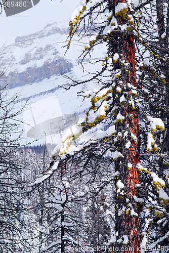 Image of Mountain landscape