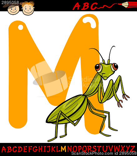 Image of letter m for mantis cartoon illustration