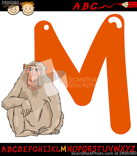 Image of letter m for macaque cartoon illustration