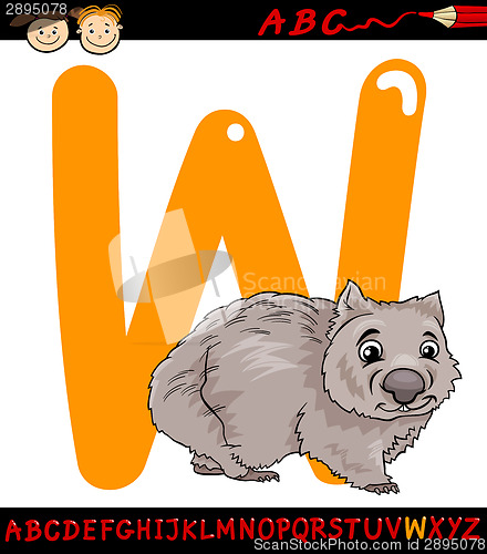 Image of letter w for wombat cartoon illustration