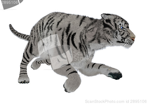 Image of White Tiger