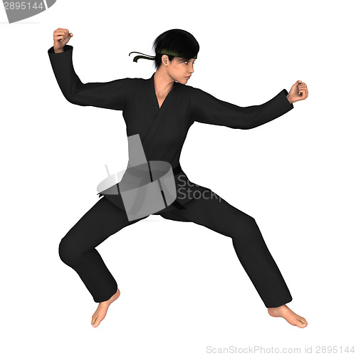 Image of Martial Arts