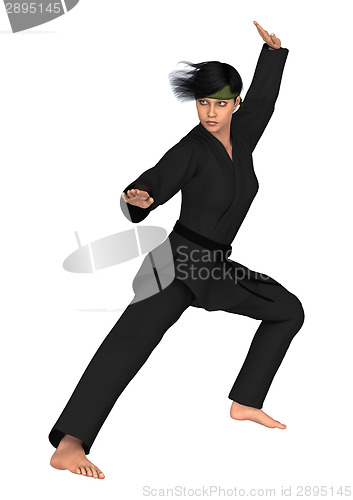 Image of Martial Arts