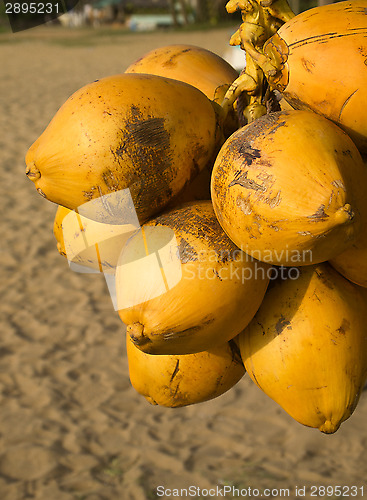 Image of Coconuts at a stand on the beach