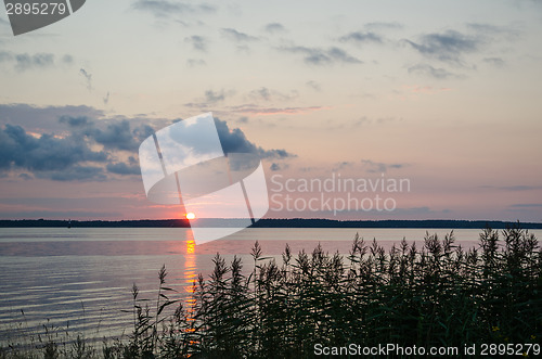 Image of Sunset at the reeds by the coast