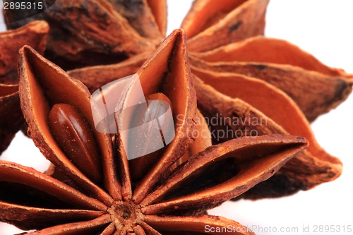 Image of anise star (spice) isolated 