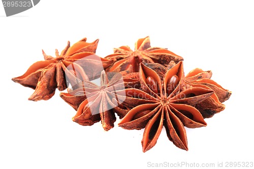 Image of anise star (spice) isolated 