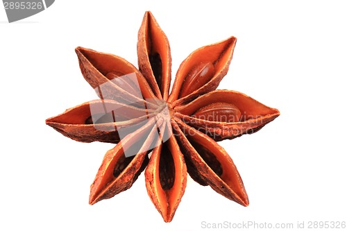 Image of anise star (spice) isolated 