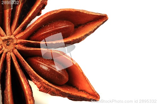 Image of anise star (spice) isolated 