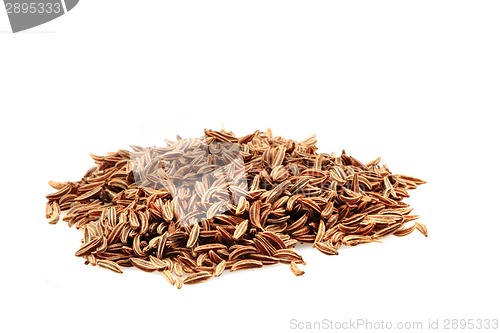 Image of caraway spice isolated 