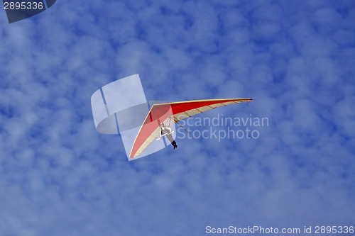 Image of Glider