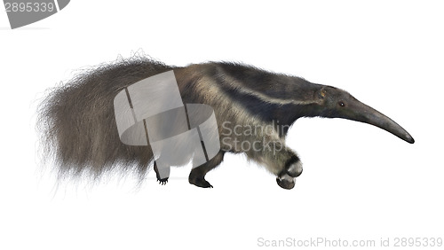 Image of Giant Anteater