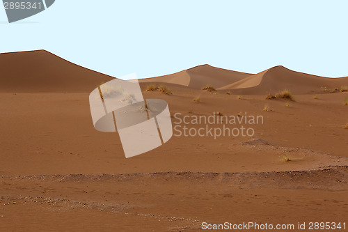 Image of Dunes in the desert