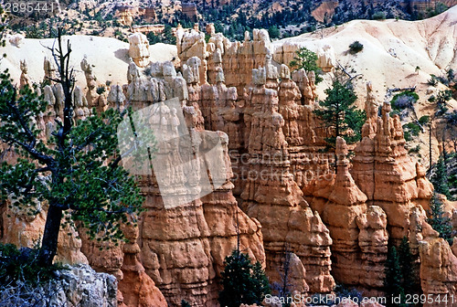 Image of Bryce Canyon