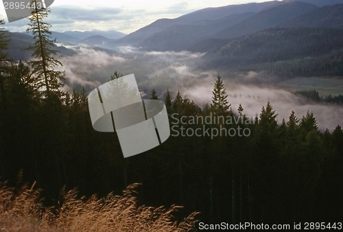 Image of Fog in Valley