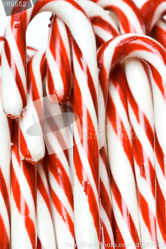 Image of Candy cane