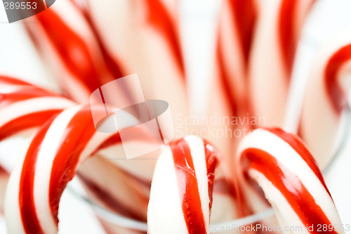 Image of Christmas candy cane