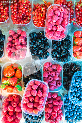 Image of Berries in boxes.