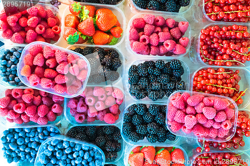 Image of Berries in boxes.