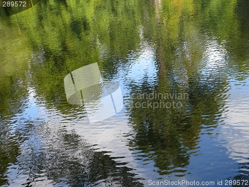 Image of Trees reflecting in water surface, abstract