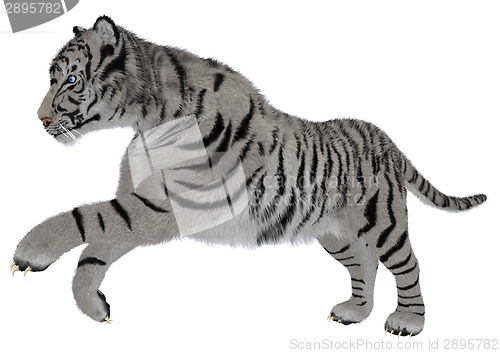 Image of White Tiger