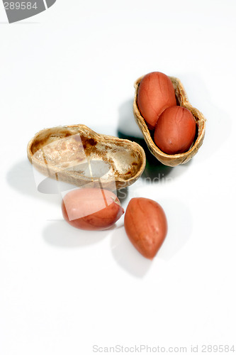 Image of peanut