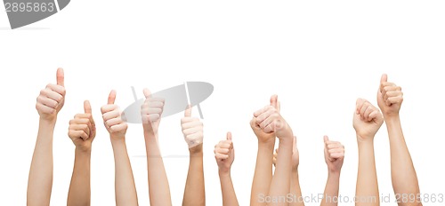 Image of hands showing thumbs up