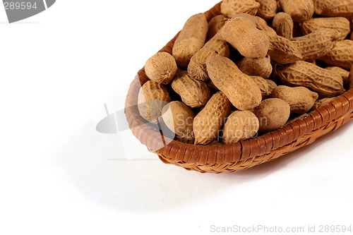 Image of peanut