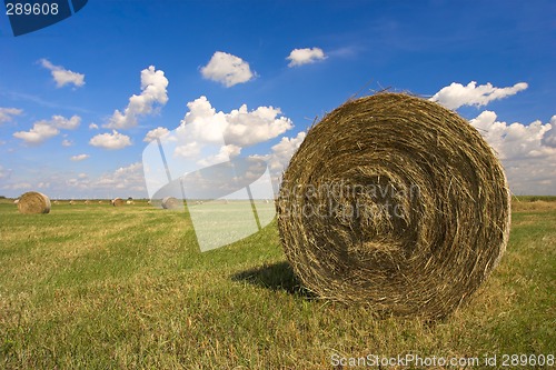 Image of Haystack