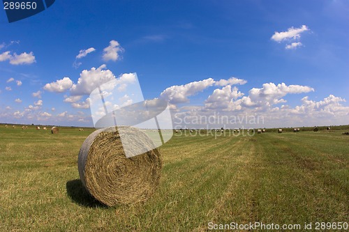 Image of Haystack