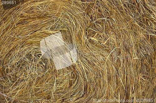 Image of Haystack