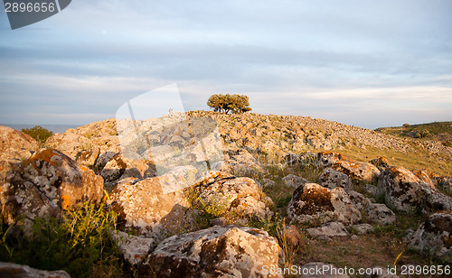 Image of galilee landscape