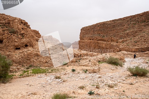 Image of Adventure travel in stone desert of Middle East