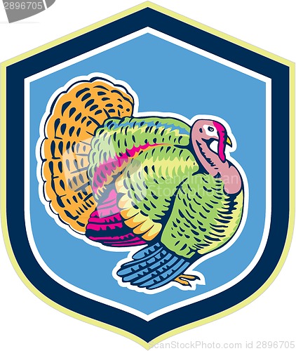 Image of Wild Turkey Side View Shield Retro