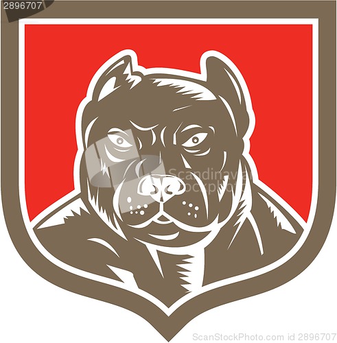 Image of Pitbull Dog Mongrel Head Shield Woodcut