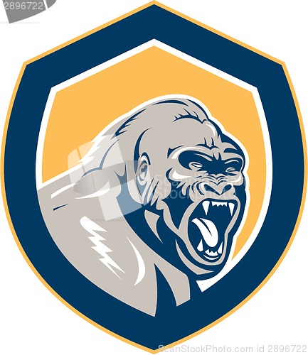 Image of Angry Gorilla Head Shield Retro