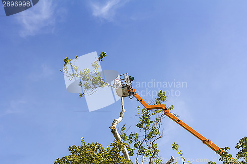 Image of Trimming trees with a chainsaw