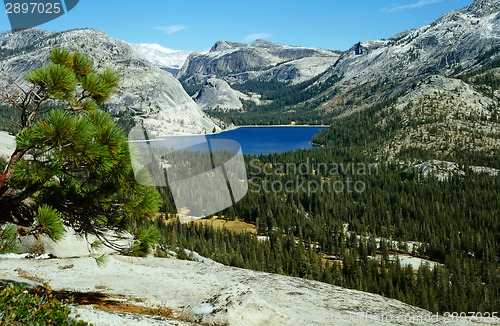 Image of Yosemite National Park