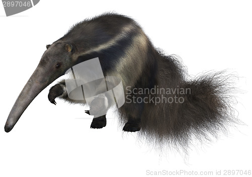 Image of Giant Anteater