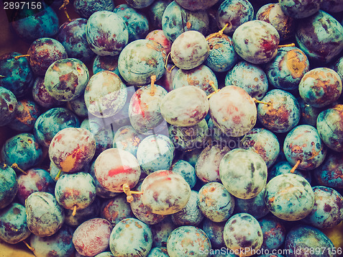 Image of Retro look Prunes
