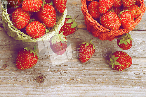 Image of Forest Strawberries