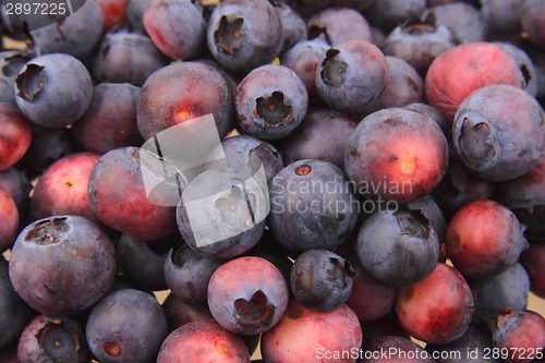 Image of fresh blueberries texture 