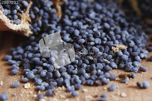 Image of blue poppy seeds 