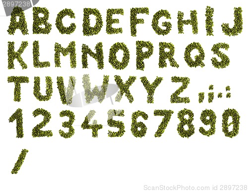 Image of coffee alphabet