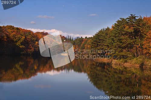 Image of Autumn splendour