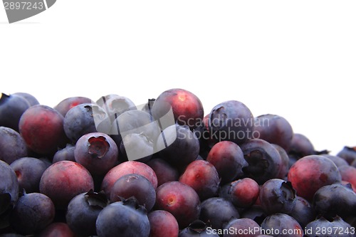 Image of blueberries isolated on the white background