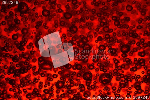 Image of red blood background