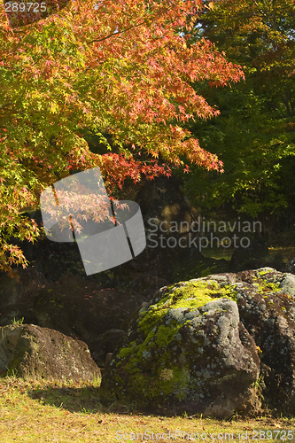 Image of Autumn rocks corner
